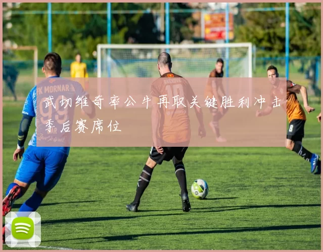 武切维奇率公牛再取关键胜利冲击季后赛席位