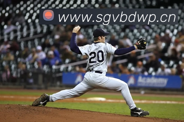 九游j9官方网页版入口 - Jiuyou j9(中国)平台生态图