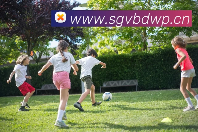 九游j9官方网页版入口 - Jiuyou j9(中国)APP 封面图