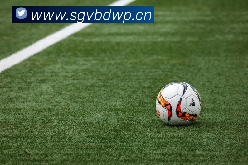 数据防护可视化